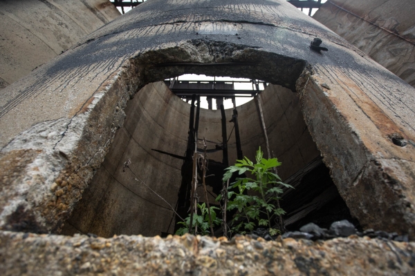 2015-6-10 Jersey City NJ. Chicpea aka Lynn Hazan visits the future site of Berry Lane Park. Photo: Greg Pallante