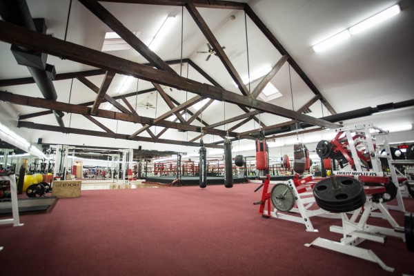 2015-12-1 Jersey City NJ. World Boxing Gym shot for Lynn Hazan and Chicpeajc. Photo: Greg Pallante