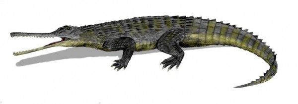 phytosaur_pic