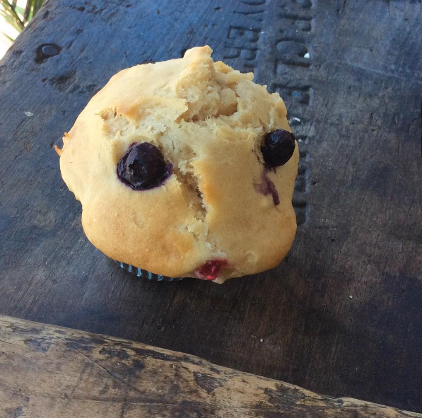 Vegan blueberry muffin. Photo by @sevensheepcoffee, https://www.instagram.com/p/BINIc9HAHm8/