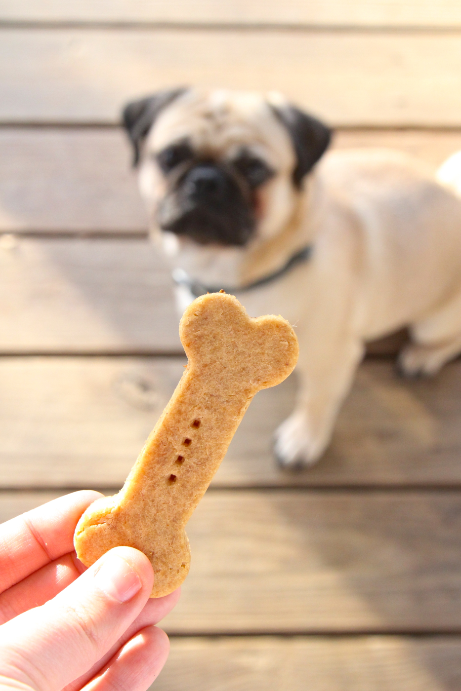 10 homemade dog treat recipes for your pup - CHICPEAJC