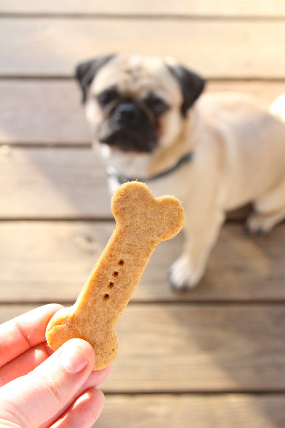 dog treats made with rice flour